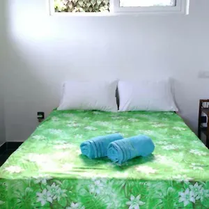 https://jambolana-studio.frenchpolynesia-hotels.com